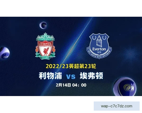 费迪南德维迪奇领衔英超零封榜 费迪南德维迪奇领衔英超零封榜