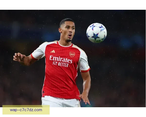 英媒萨利巴等四将缺席周二训练 英媒萨利巴等四将缺席周二训练