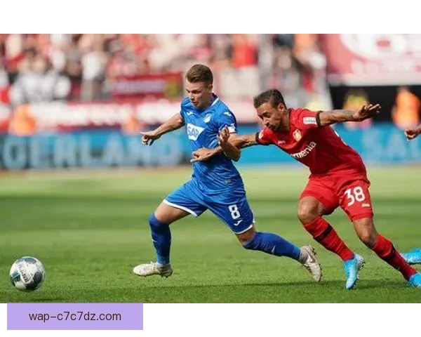 霍芬海姆战弗赖堡克拉马里奇领衔 霍芬海姆战弗赖堡克拉马里奇领衔